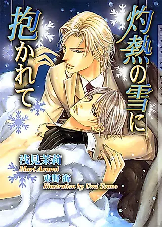 Cover image for the novel called Shakunetsu no Yuki ni Idakarete