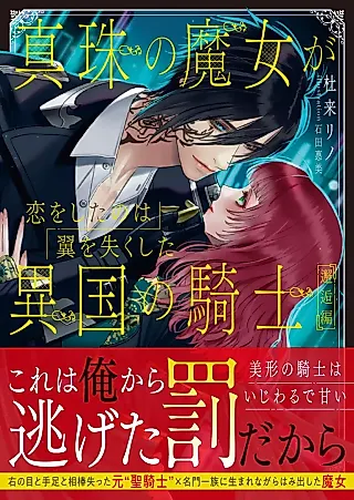 Cover image for the novel called Shinju no Majo ga Koi wo Shita no wa Tsubasa wo Shitsu Kushita Ikoku no Kishi: Kaikou-hen