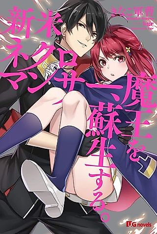 Cover image for the novel called Shinmai Necromancer, Maou wo Sosei Suru.
