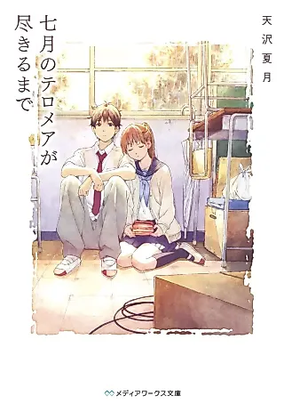 Cover image for the novel called Shichigatsu no Telomer ga Tsukiru made