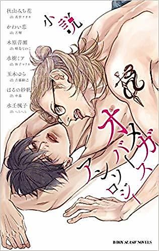 Cover image for the novel called Omegaverse Novel Anthology