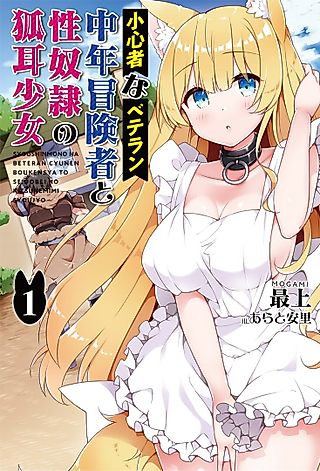 Cover image for the novel called Shoushinsha na Veteran Chuunen Boukensha to Seidorei no Kitsunemimi Shoujo