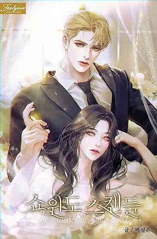 Cover image for the novel called Show Window Scandal