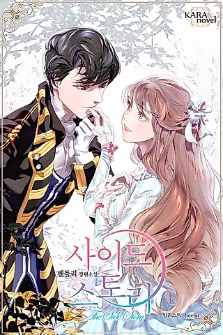 Cover image for the novel called Side Story