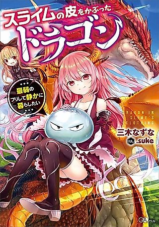 Cover image for the novel called Slime no Kawa wo Kaburu Dragon: Saijaku no Furishite Shizuka ni Kurashitai