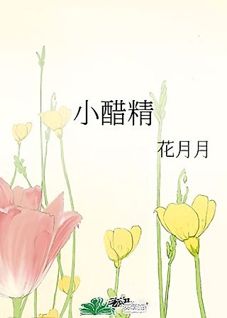 Cover image for the novel called Small Vinegar Jar