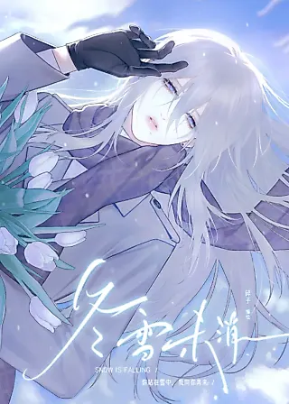 Cover image for the manhua called Snow Is Falling