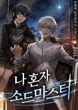 Cover image for the novel called Solo Swordmaster