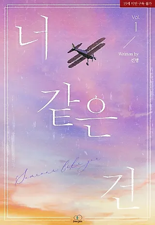 Cover image for the novel called Someone Like You