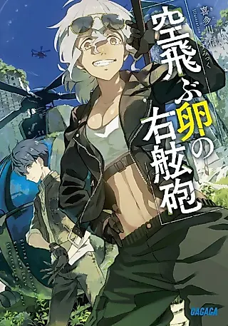 Cover image for the novel called Flying Egg Starboard Gun