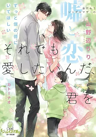 Cover image for the novel called Sore demo Aishitai n da, Kimi wo: Migawari Single Mother no Uso to Koi