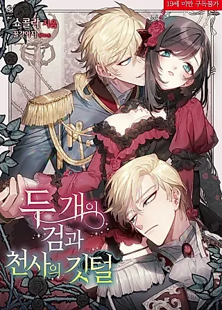 Cover image for the novel called Two Swords and the Angel’s Feather