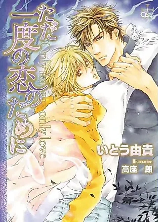 Cover image for the novel called Tada Ichido no Koi no Tame ni