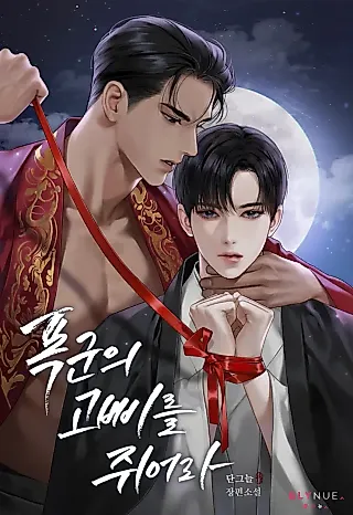 Cover image for the novel called Take the Reins of the Tyrant
