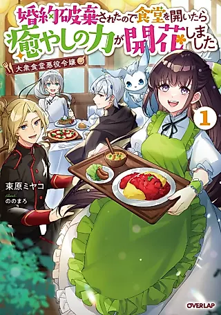 Cover image for the novel called Taishuu Shokudou Akuyaku Reijou: Konyaku Haki Sareta no de Shokudou wo Hiraitara Iyashi no Ryoku ga Kaika Shimashita