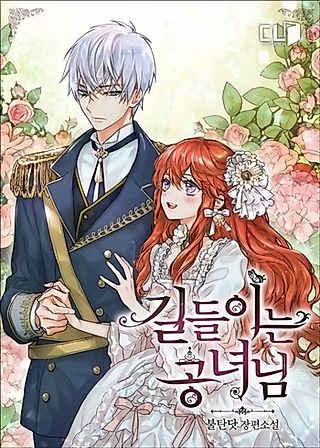 Cover image for the novel called Taming the Lady