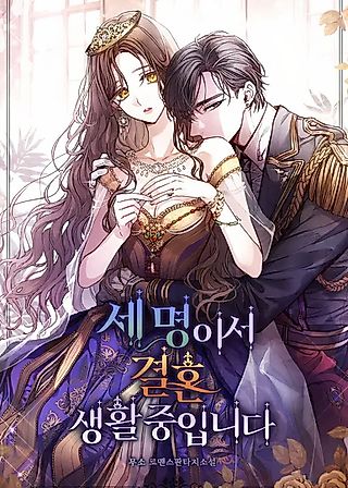 Cover image for the novel called The Three Are Living a Married Life