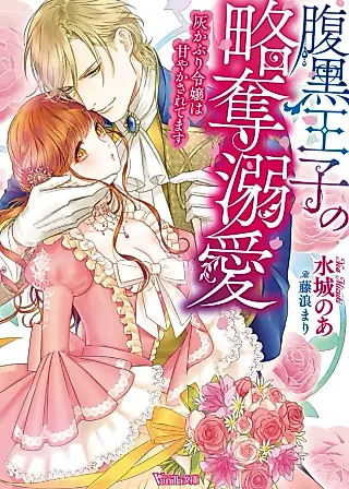 Cover image for the novel called The Two-Faced Prince and His Cinderella