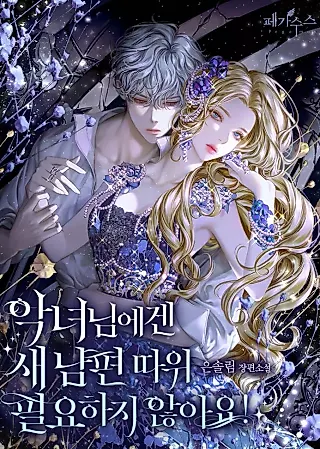 Cover image for the novel called The Villainess Doesn't Need a New Husband!