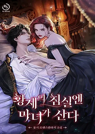 Cover image for the novel called The Witch in the Emperor's Quarters