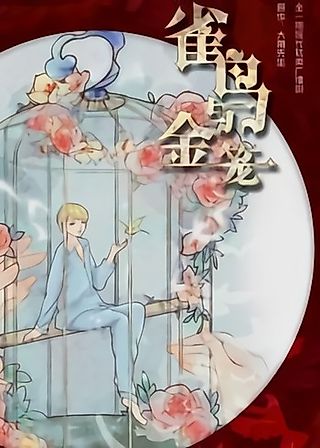 Cover image for the novel called The Bird and the Golden Cage