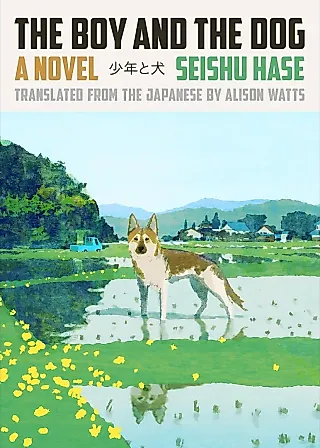 Cover image for the novel called The Boy and the Dog