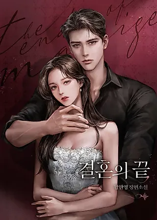Cover image for the novel called The End of the Marriage