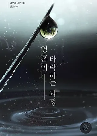 Cover image for the novel called The Fall of a Soul