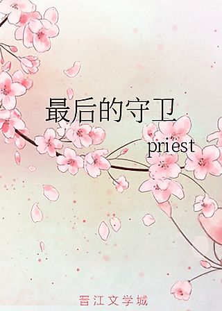 Cover image for the novel called The Final Protectors