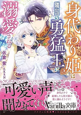 Cover image for the novel called The Fierce King And The Substitute Princess