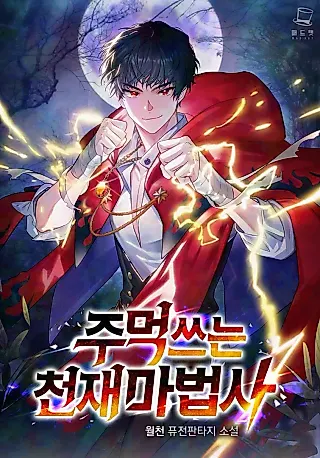Cover image for the novel called The Fistfighting Genius Mage