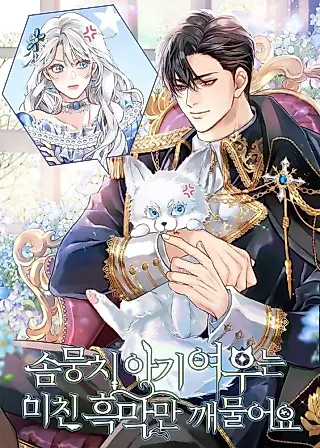 Cover image for the novel called The Fluffy Baby Fox Only Bites the Crazy Villain