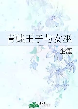 Cover image for the novel called The Frog Prince and the Witch