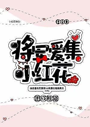 Cover image for the novel called The General Loves to Collect Little Red Flowers