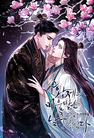 Cover image for the novel called The Hated Male Concubine