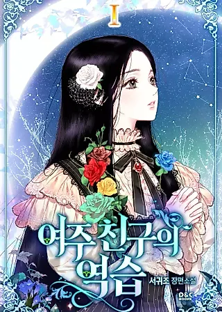 Cover image for the novel called The Heroine's Friend Strikes Back