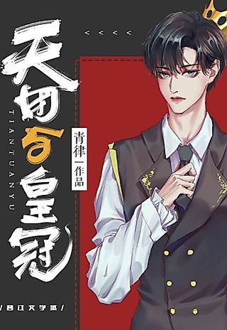 Cover image for the novel called The Idol Group and the Crown