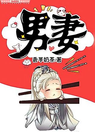 Cover image for the novel called The Male Wife