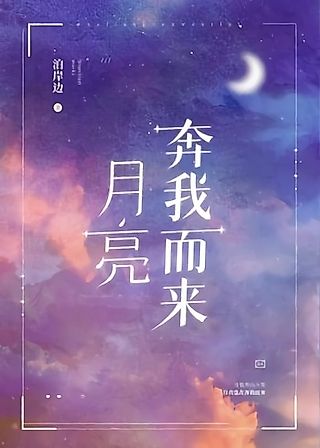 Cover image for the novel called The Moon Comes to Me