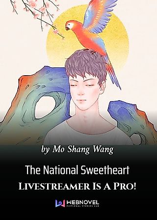 Cover image for the novel called The National Sweetheart Livestreamer Is A Pro!