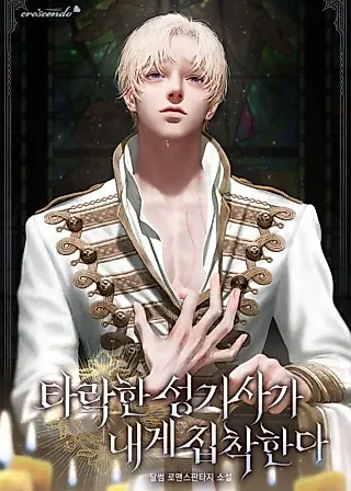 Cover image for the novel called The Obsession of a Fallen Paladin