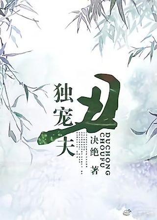 Cover image for the novel called Duchong Choufu