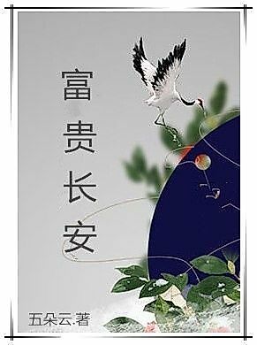 Cover image for the novel called The Rich And Honorable ChangAn