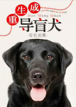 Cover image for the novel called The Seeing Eye Dog