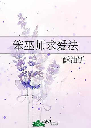 Cover image for the novel called The Silly Wizard’s Courtship Method