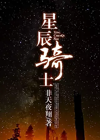 Cover image for the novel called The Star Knight