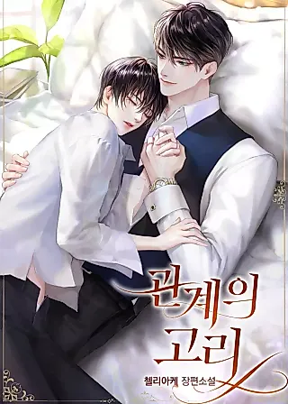 Cover image for the novel called Relationship Ring