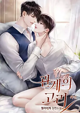 Cover image for the novel called Relationship Ring - Specials