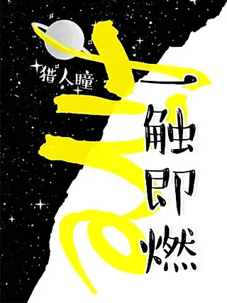 Cover image for the novel called To Burn On Touch