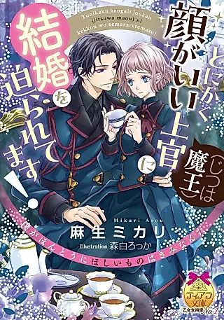 Cover image for the novel called Tonikaku Kao ga Ii Joukan (Jitsu wa Maou) ni Kekkon wo Semararetemasu!